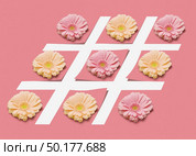 Colorful gerbera flowers on the lines of hashtag symbol on a pastel pink paper background with copy space. Greeting postcard. Hash tag sign with flowers on a pink pastel background. Стоковое фото, агентство Ingram Publishing / Фотобанк Лори