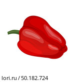 Sweet Pepper. Cartoon Glossy Design. Vector Illustration. Стоковая иллюстрация, агентство Ingram Publishing / Фотобанк Лори