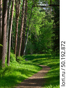Arboretum of the Botanical Garden. Стоковое фото, фотограф ArhSib / Фотобанк Лори