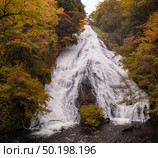 Autumn fall forest at Yudaki Falls at Nikko Tochigi Japan. Стоковое фото, агентство Ingram Publishing / Фотобанк Лори