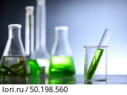 algae research in laboratories, biotechnology science concept. Стоковое фото, агентство Ingram Publishing / Фотобанк Лори