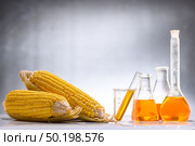 Biofuel from corn, oil and biofuel solution. Стоковое фото, агентство Ingram Publishing / Фотобанк Лори