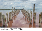 Розовое солёное озеро Сакское (Саки, Крым) Стоковое фото, фотограф Snezka / Фотобанк Лори