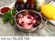 Marinated baby octopus snack appetizer. Стоковое фото, фотограф Андрей Старостин / Фотобанк Лори