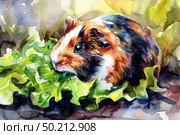 A realistic watercolor painting of a guinea pig munching on a leaf of lettuce. Стоковое AI-изображение, AI-художник Данила Большаков / Фотобанк Лори