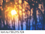 Blurry and spectacular sunset shining through a forest silhouette in winter. Стоковое фото, агентство Ingram Publishing / Фотобанк Лори