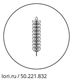 Spikelet of wheat Plant branch icon in circle round outline black color vector illustration flat style simple image. Spikelet of wheat Plant branch icon in circle round outline black color vector illustration flat style image. Стоковая иллюстрация, агентство Ingram Publishing / Фотобанк Лори