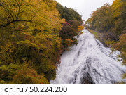Autumn fall forest at Yudaki Falls at Nikko Tochigi Japan. Стоковое фото, агентство Ingram Publishing / Фотобанк Лори