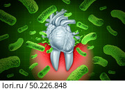 Periodontitis gum disease and poor oral hygiene health problem as a bacteria infection entering the blood stream affecting the human heart damaging the valves as a tooth shaped as a cardiovascular organ as a 3D illustration. Стоковое фото, агентство Ingram Publishing / Фотобанк Лори