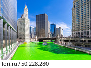 Chicago Skylines building along green dyeing river of Chicago River on St. Patrick day festival in Chicago Downtown IL USA. Стоковое фото, агентство Ingram Publishing / Фотобанк Лори