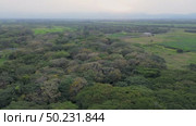 Aerial View of Forested Plains and Grasslands, Drone Footage of Savanna and Scattered Trees, Tropical Woodland in Open Plains, Aerial Shot. Стоковое видео, видеограф ALEJANDRO PEREZ ALVARES / Фотобанк Лори