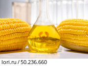 Biofuel or Corn Syrup, gasoline, energy, environmentalist. Стоковое фото, агентство Ingram Publishing / Фотобанк Лори