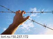 Hand of prison and sky background. Conceptual scene. Стоковое фото, агентство Ingram Publishing / Фотобанк Лори