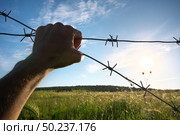 Hand of prison and sky nature background. Conceptual scene. Стоковое фото, агентство Ingram Publishing / Фотобанк Лори