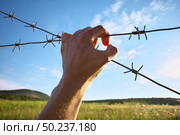 Hand of prison and sky nature background. Conceptual scene. Стоковое фото, агентство Ingram Publishing / Фотобанк Лори