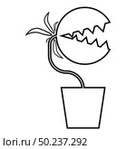Carnivorous plant Flytrap Monster with teeths in pot icon outline black color vector illustration flat style simple image. Стоковая иллюстрация, агентство Ingram Publishing / Фотобанк Лори