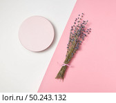Creative composition from round board and natural lavender flowers branch on a duotone light grey pink background with copy space.. Decorative card with lavender bunch and round frame. Стоковое фото, агентство Ingram Publishing / Фотобанк Лори
