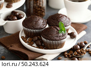 Coffee chocolate muffins for breakfast. Стоковое фото, агентство Ingram Publishing / Фотобанк Лори