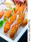 Expensive food, fresh lobster on the ice. Стоковое фото, агентство Ingram Publishing / Фотобанк Лори