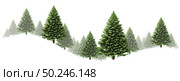 Pine tree swirl winter border design with a group of green Christmas trees on a white background as a festive evergreen forest element with fog and snow for the holiday season including New Year as a 3D illustration. Стоковое фото, агентство Ingram Publishing / Фотобанк Лори