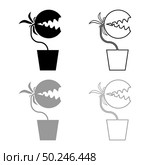 Carnivorous plant Flytrap Monster with teeths in pot icon outline set black grey color vector illustration flat style simple image. Carnivorous plant Flytrap Monster with teeths in pot icon outline set black grey color vector illustration flat style image. Стоковая иллюстрация, агентство Ingram Publishing / Фотобанк Лори