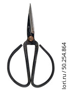 Old fashioned scissors isolated on white background. Стоковое фото, агентство Ingram Publishing / Фотобанк Лори