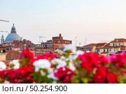 Architectural city skyline of Venice, Italy with historical houses with colorful blurred flowers on the foreground.. Historical urban sityscape with colored flowers on the forefront. Стоковое фото, агентство Ingram Publishing / Фотобанк Лори