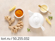 Ginger turmeric tea with honey, fresh lemon and mint. Стоковое фото, агентство Ingram Publishing / Фотобанк Лори