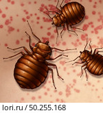 Bed bug on skin as bedbugs bites on the human body or bedbug infestation concept as a close up of  parasitic insect pests as a hygiene symbol and health danger of bloodsucking parasites in a 3D illustration style. Стоковое фото, агентство Ingram Publishing / Фотобанк Лори