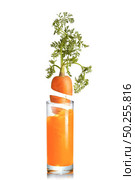 Organic natural fresh carrot root with green leaf in the glass of juice on a white background, copy space. Vegetarian concept.. Carrot root falls in a glass of fresh juice. Стоковое фото, агентство Ingram Publishing / Фотобанк Лори