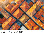 Aerial view of houses with orange roofs at sunset in summer in Dubrovnik, Croatia. Top view of beautiful architecture in european old city. Historical centre, buildings, street in the evening. Travel. Стоковое фото, агентство Ingram Publishing / Фотобанк Лори