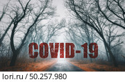 Pandemic of coronavirus. Covid-19 and background with spooky dark forest and road in fog. Dangerous deadly epidemic of nCoV and scary poster with old foggy trees in fall. Nature and red text. Horror. Стоковое фото, агентство Ingram Publishing / Фотобанк Лори
