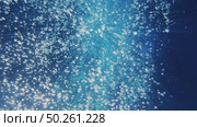 Air bubbles under water. Стоковое видео, видеограф Михаил Коханчиков / Фотобанк Лори