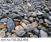 Gray granite pebbles in bulk. Low angle. Стоковое фото, фотограф Кирилл Зотов / Фотобанк Лори