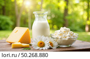 Молоко, творог и сыр на столе с ромашками. Натуральные молочные продукты и летняя сельская идиллия. Стоковое AI-изображение, AI-художник Ирина Кадочникова / Фотобанк Лори