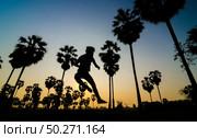 Travelers are jumping on the palm trees background of a beautiful sunrise. Стоковое фото, агентство Ingram Publishing / Фотобанк Лори