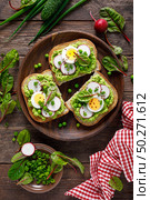 Sandwiches with wholemeal bread, hummus or puree of fresh green peas, radish, cucumber, boiled egg, green onion and chard. Стоковое фото, агентство Ingram Publishing / Фотобанк Лори