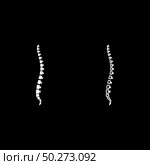 Spine human Spinal Lateral view Vertebras Dorsal vertebrae icon outline set white color vector illustration flat style simple image. Spine human Spinal Lateral view Vertebras Dorsal vertebrae icon outline set white color vector illustration flat style image. Стоковая иллюстрация, агентство Ingram Publishing / Фотобанк Лори