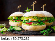 Hamburger with homemade ciabatta bun bread, boiled egg, radish, cucumber, lettuce salad and puree of fresh green peas. Стоковое фото, агентство Ingram Publishing / Фотобанк Лори