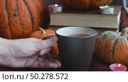 Cozy Hygge scene with sweater and candles. Orange pumpkins and cup of tea ore coffee. Halloween concept, cozy home, aromatherapy. Стоковое видео, видеограф Марина Демидюк / Фотобанк Лори