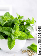 Mint leaves in bunch on white kitchen table closeup. Стоковое фото, агентство Ingram Publishing / Фотобанк Лори
