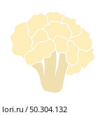 Cauliflower Icon. Flat Color Design. Vector Illustration. Стоковая иллюстрация, агентство Ingram Publishing / Фотобанк Лори