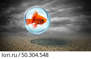 Security concept and insurance idea as a goldfish protected inside a water shield with 3D illustration elements. Стоковое фото, агентство Ingram Publishing / Фотобанк Лори