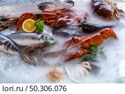 Variety of fresh luxury seafood, Lobster salmon mackerel crayfish prawn octopus mussel red snapper scallop and stone crab, on ice background with icy smoke in seafood market. Стоковое фото, агентство Ingram Publishing / Фотобанк Лори