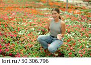 Girl chooses beautiful fresh flowers of the Balsaminaceae genus for her home. Стоковое фото, фотограф Яков Филимонов / Фотобанк Лори