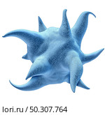 Patelet and thrombocyte anatomy concept and activated platelets symbol isolated on a white background as a 3D render. Стоковое фото, агентство Ingram Publishing / Фотобанк Лори