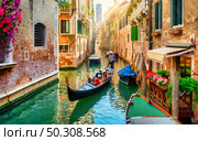 Flowers on a canal in Venice, Italy. Canal in Venice. Стоковое фото, агентство Ingram Publishing / Фотобанк Лори