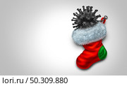 Virus shaped chunk of coal in holiday stocking concept and holiday season winter flu as Christmas season coronavirus or covid-19 pandemic with 3D illustration elements. Стоковое фото, агентство Ingram Publishing / Фотобанк Лори