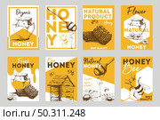 Honey sketch flat poster set. Стоковое фото, агентство Ingram Publishing / Фотобанк Лори