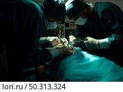 professional surgeon doctor person working in hospital, health care medicine concept. Стоковое фото, агентство Ingram Publishing / Фотобанк Лори